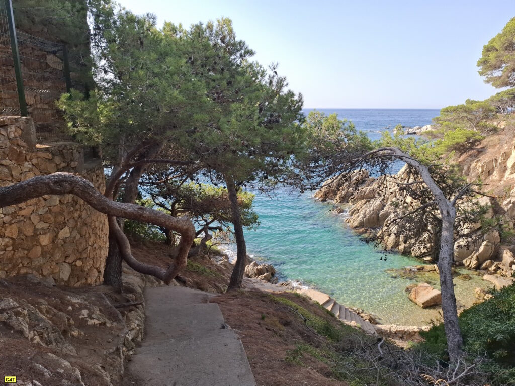 Cala Roca dels musclos - Escales