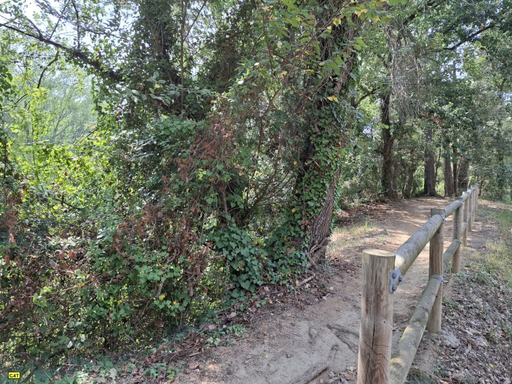 Riberes Baix Ter - Camí costat riu