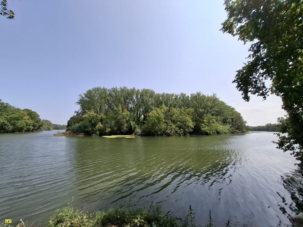 Riberes Baix Ter - Illa al riu